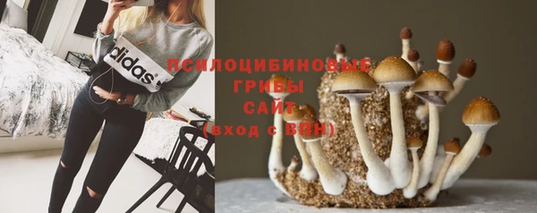 хмурый Сясьстрой