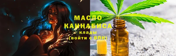 крисы Тайга