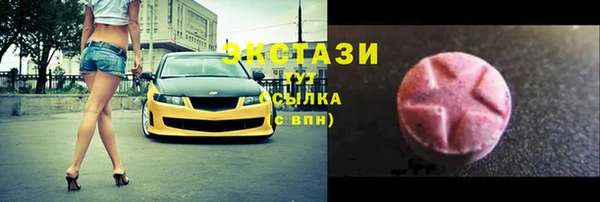 крисы Тайга