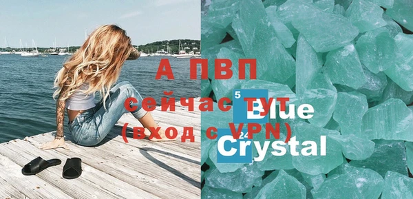 крисы Тайга