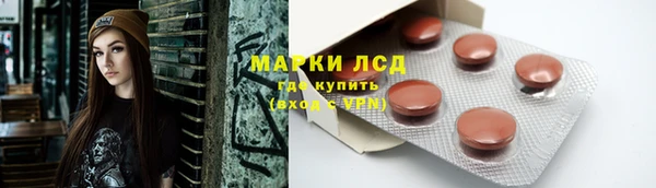 крисы Тайга