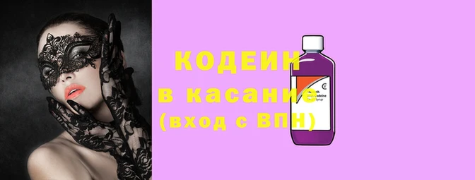 крисы Тайга