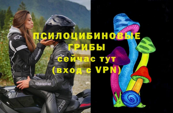 хмурый Сясьстрой