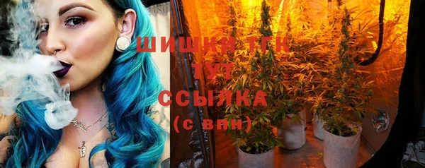 хмурый Сясьстрой