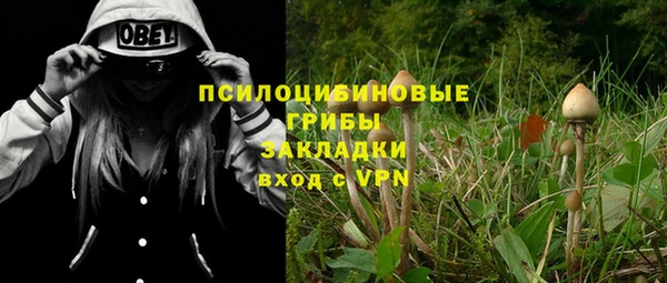 хмурый Сясьстрой