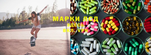 крисы Тайга