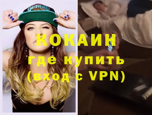 крисы Тайга