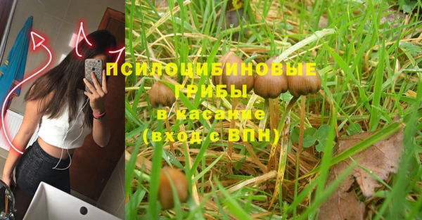 марки nbome Тавда