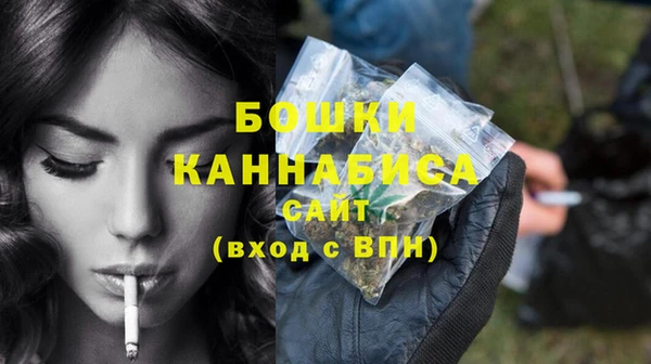 крисы Тайга
