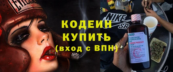 крисы Тайга