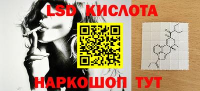 гашик Камышлов