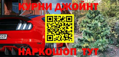 гашик Камышлов