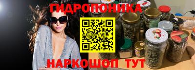 гашик Канаш