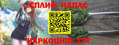 гашик Камышлов
