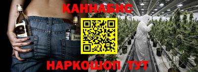гашик Камышлов