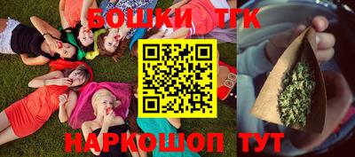 гашик Камышлов