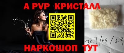 гашик Камышлов