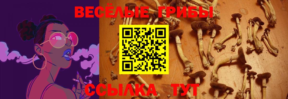ГАШИШ  NBOMe  Мефедрон кристаллы  МДМА  Шарыпово  Кокаин  Каннабис  Вход с VPN 