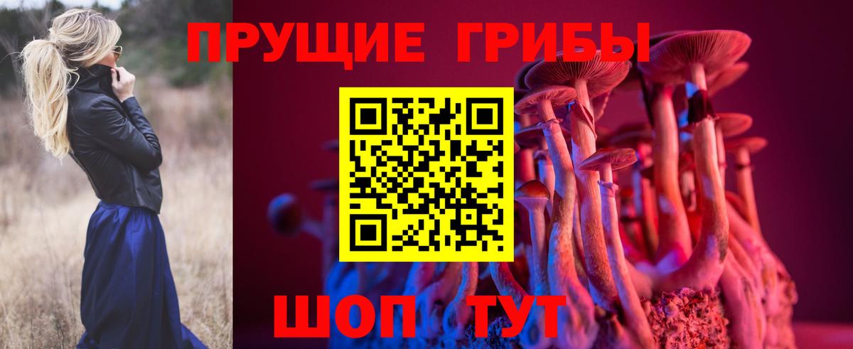 Шарыпово  Галлюциногенные грибы Cubensis  Вход с VPN 